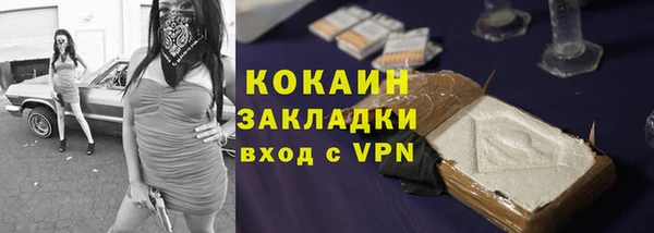 амф Магас