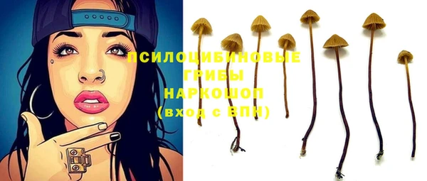 амф Магас