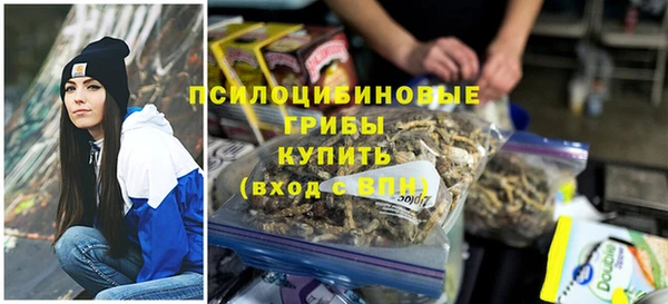 амф Магас